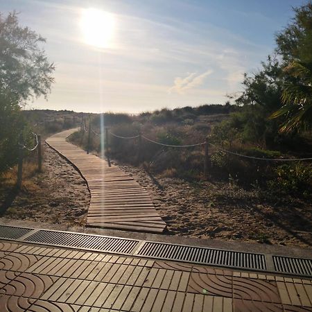 Sea View Apartment, First Line On The Beach, Remote Work カネット・デ・ベレンゲル エクステリア 写真